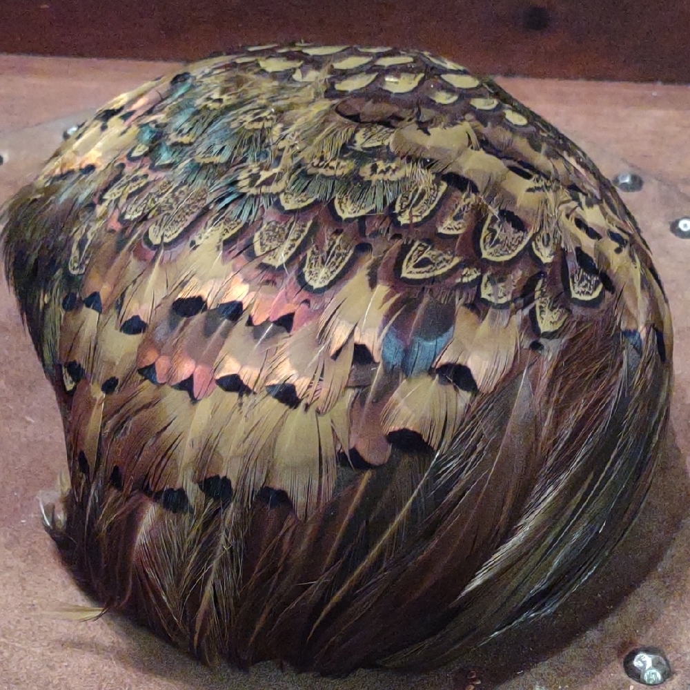 Feather Hat